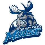 Manitoba Moose Manitoba Moose