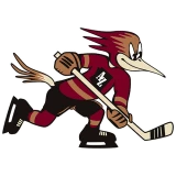 Tucson Roadrunners Tucson Roadrunners