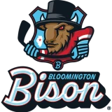 Bloomington Bison