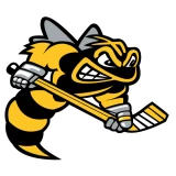 Sarnia Sting