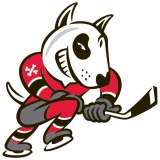 Niagara IceDogs Niagara IceDogs