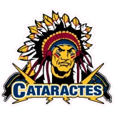 Shawinigan, Cataractes