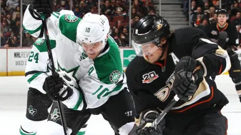 Ducks vs. Stars