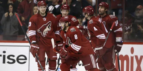 Arizona Coyotes