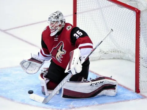 Louis Domingue