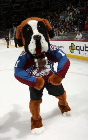Maskoti NHL – Centrálna divízia