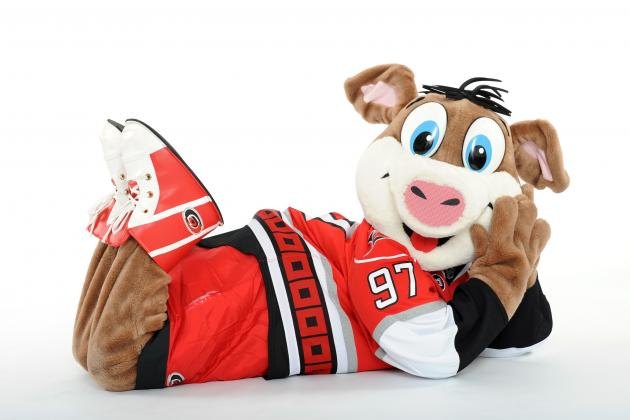 Maskoti NHL – Metropolitná divízia