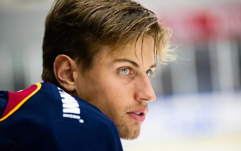 Brankár – model: Litovec Armalis na lane klubov NHL