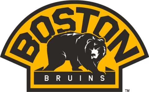 Boston Bruins (alternatívne)