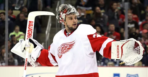 #34 Petr Mrázek