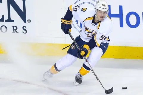 Roman Josi