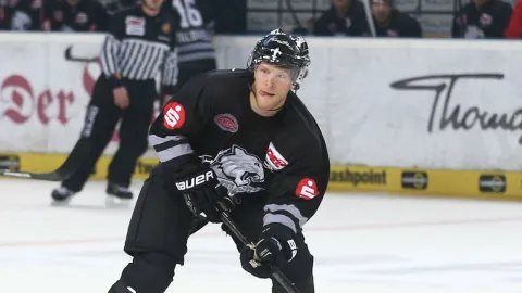 Yan Stastny