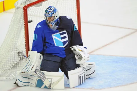 Jaroslav Halak