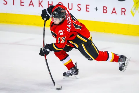 Johnny Gaudreau