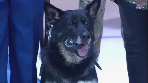 policajný pes vhodil slávnostné buly