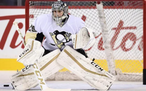 Marc-Andre Fleury
