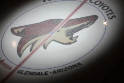 Arizona Coyotes