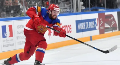 Vladislav Gavrikov