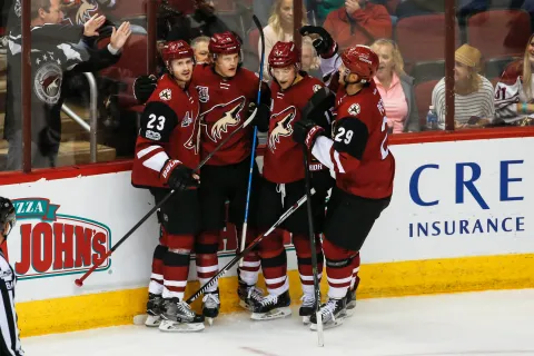 Arizona Coyotes
