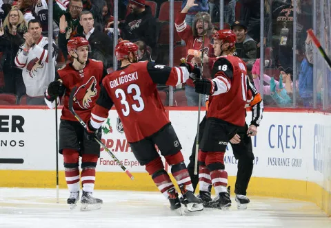 Arizona Coyotes
