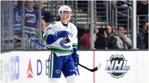 Nikolaj Goldobin