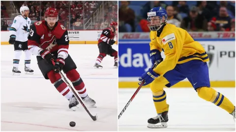 Ekman-Larsson & Dahlin