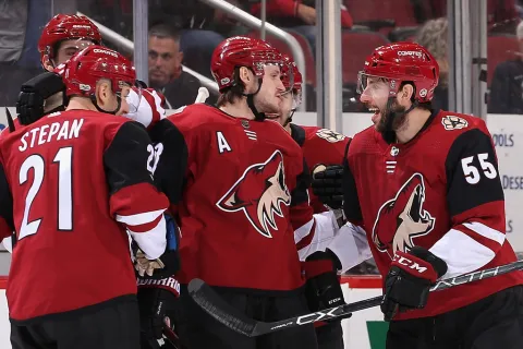 Arizona Coyotes