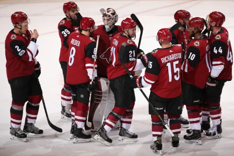 Arizona Coyotes