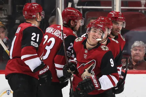 Arizona Coyotes