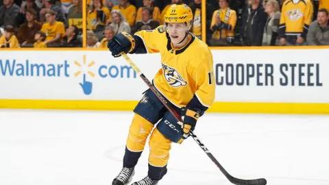 Eeli Tolvanen