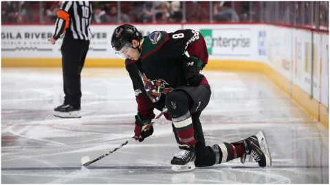 Nick Schmaltz