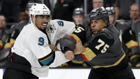 Evander Kane vs Ryan Reaves