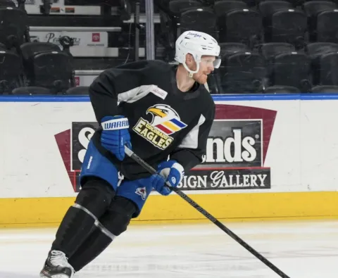 Gabriel Landeskog