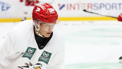 Atro Leppanen