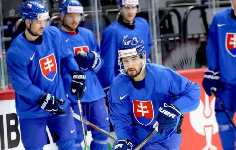 Slovensko - tréning pred MS 2025