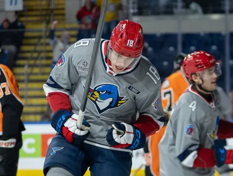 Juraj Pekarčík