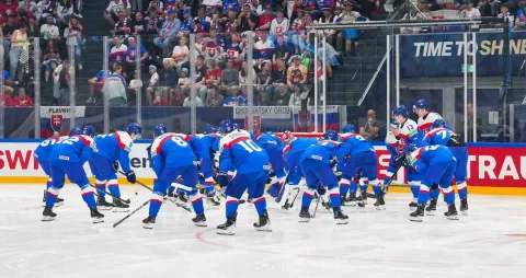 Slovensko na MS 2026